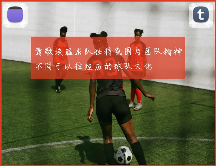 莺歌谈猛龙队独特氛围与团队精神不同于以往经历的球队文化